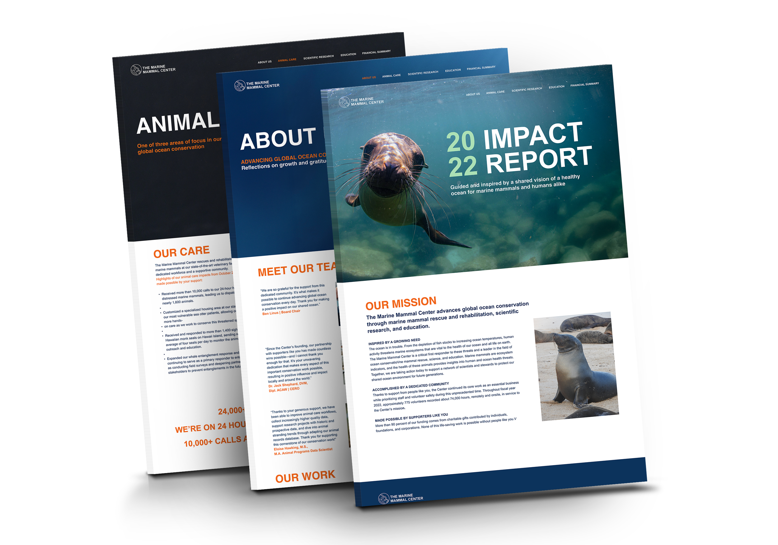 Impact Report
