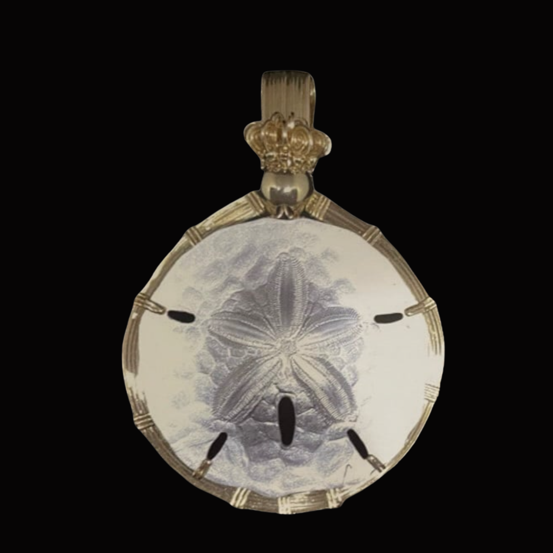 A decorative silver pendant featuring a starfish design, with black accents at the edges, set against a black background.