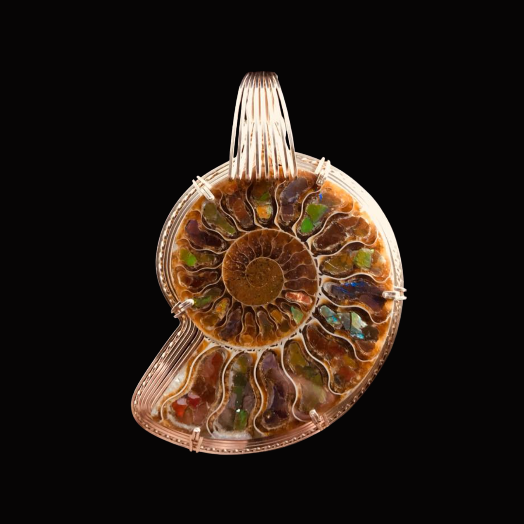 Close-up of a fossilized ammonite with its spiral shell, embedded with iridescent minerals, against a black background.