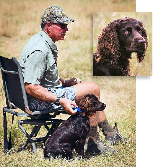 A man wearing a camouflage cap, sunglasses, and a grey shirt, sitting on a folding chair in a grassy field, holding a blue leash attached to a black and brown dog. A close-up of a brown dog with long, curly ears appears in an inset at the top right.