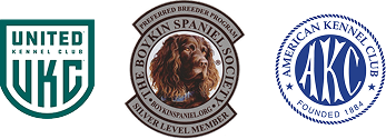 Three logos related to dog clubs and organizations: United Kennel Club, Boykin Spaniel Society, and American Kennel Club.
