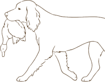 Outline drawing of a dog standing sideways, facing left.