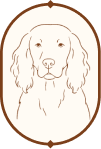 Line drawing of a dog with long ears and a calm expression, framed in an oval.