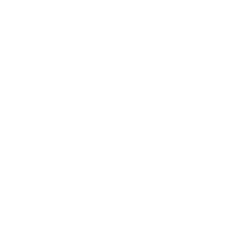 Firebird (Copy)