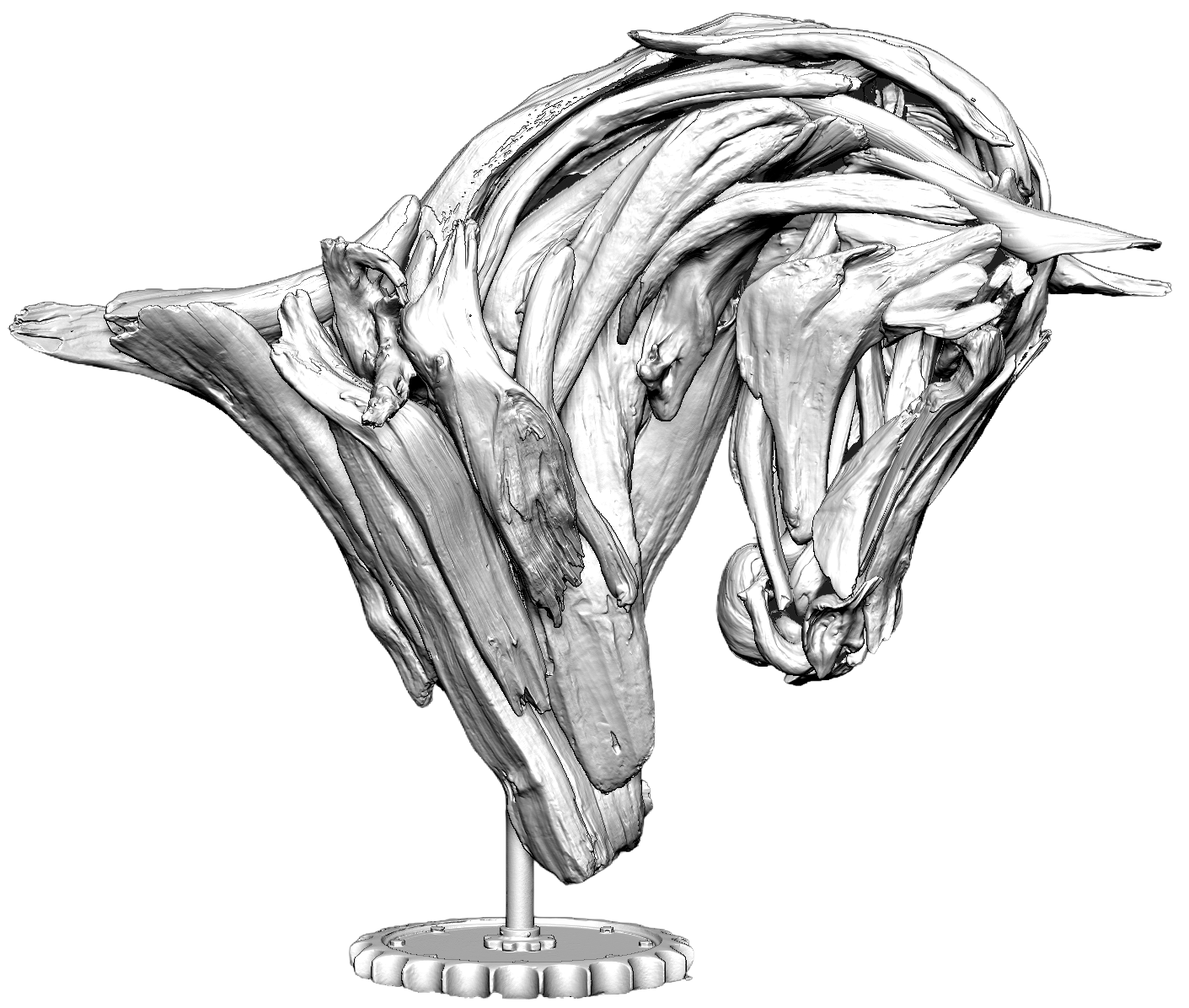 Black and white digital 3D rendering of a sculpture resembling a human breast and parts of the surrounding anatomy, mounted on a stand.