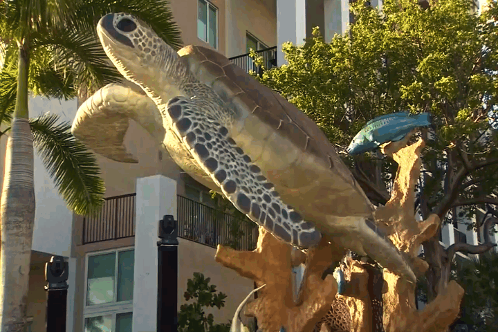 A large sea turtle sculpture with a smaller fish on its back, mounted on a tree branch outdoors with palm trees and buildings in the background.