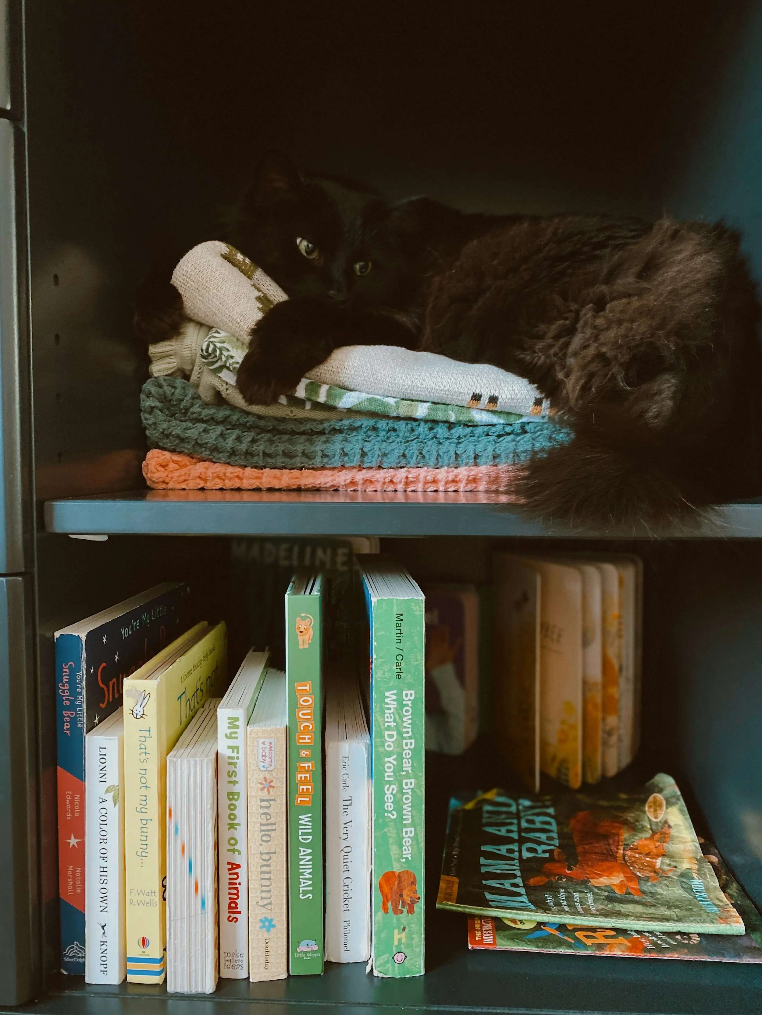 A black cat curled up on folded blankets above a shelf of children's books