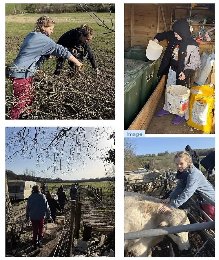 Wye Community Farm