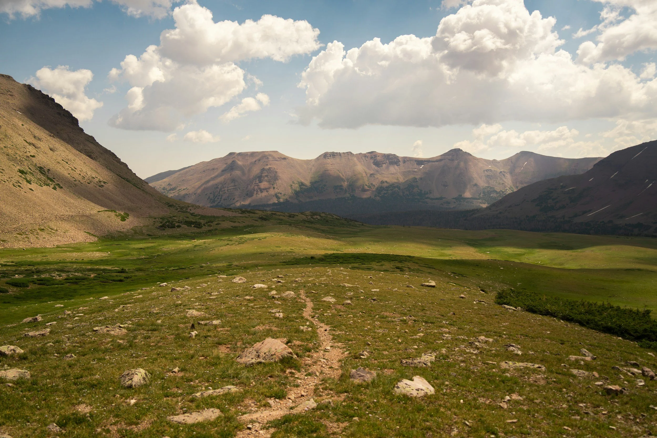 A mountainous Wyoming landscape.