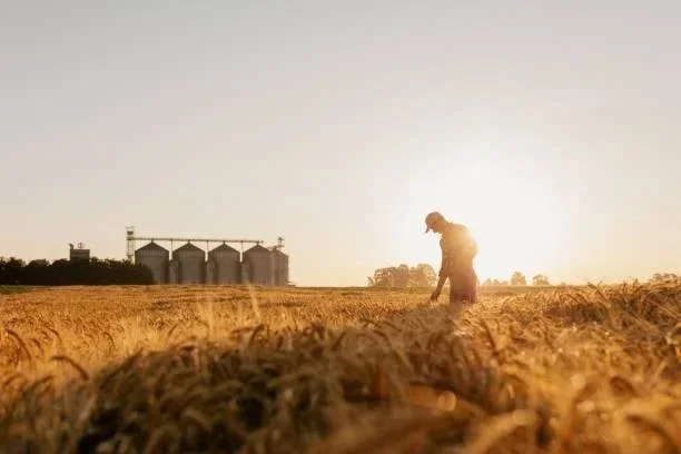 A farmer working in a field of crops with silos in the background.