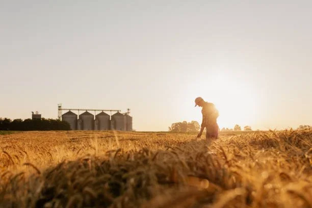 A farmer working in a field of crops with silos in the background.