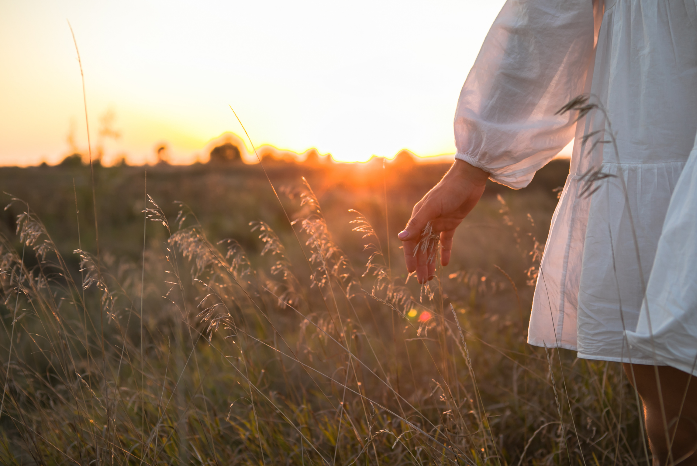 Person wearing a white dress standing in a field at sunset, gently touching tall grass.