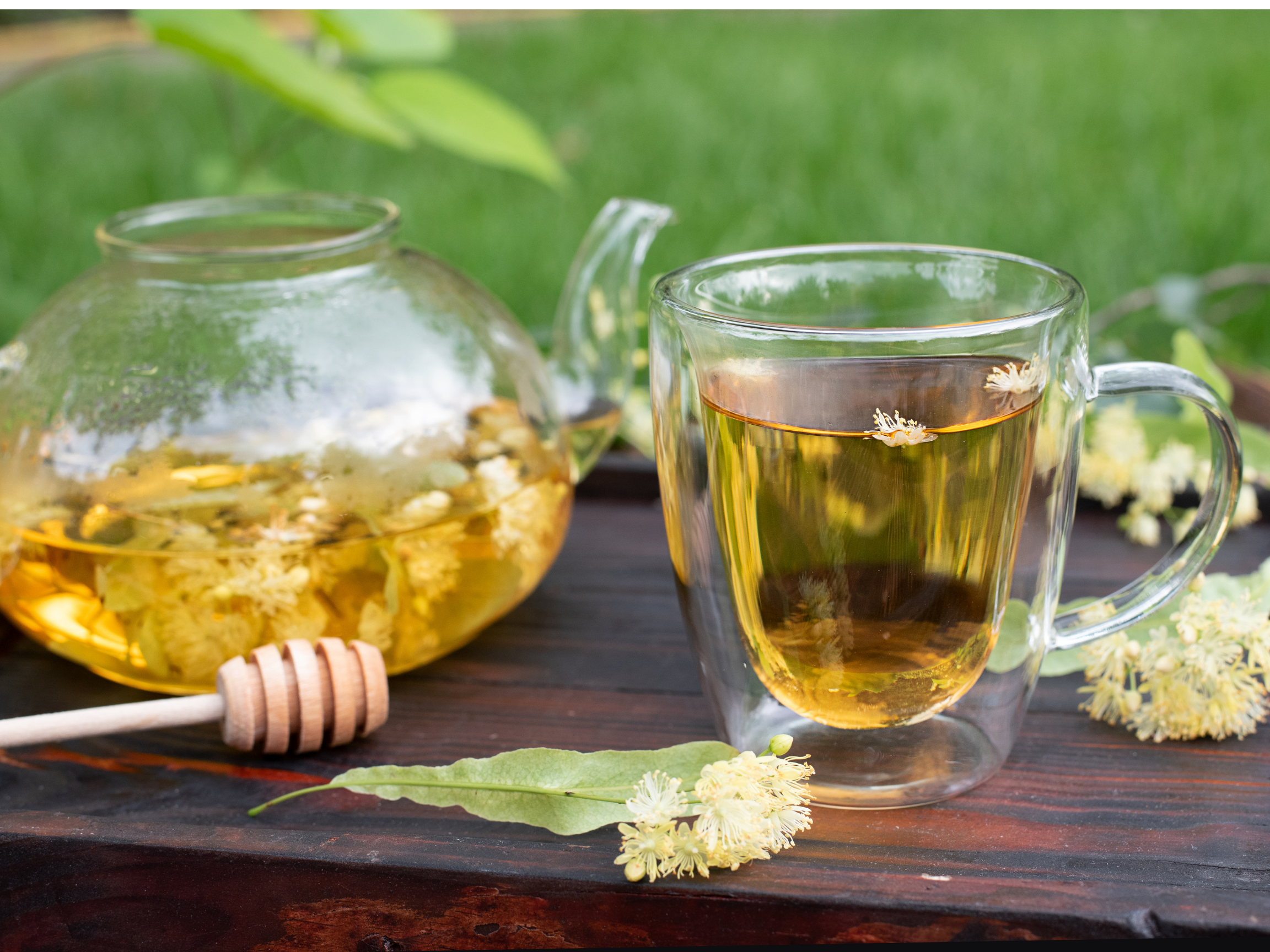 A glass teacup filled with herbal tea and a glass teapot on a dark wooden table with tea leaves and flowers for flavor, with some green leaves and flowers scattered around the table, outdoors in a garden setting.