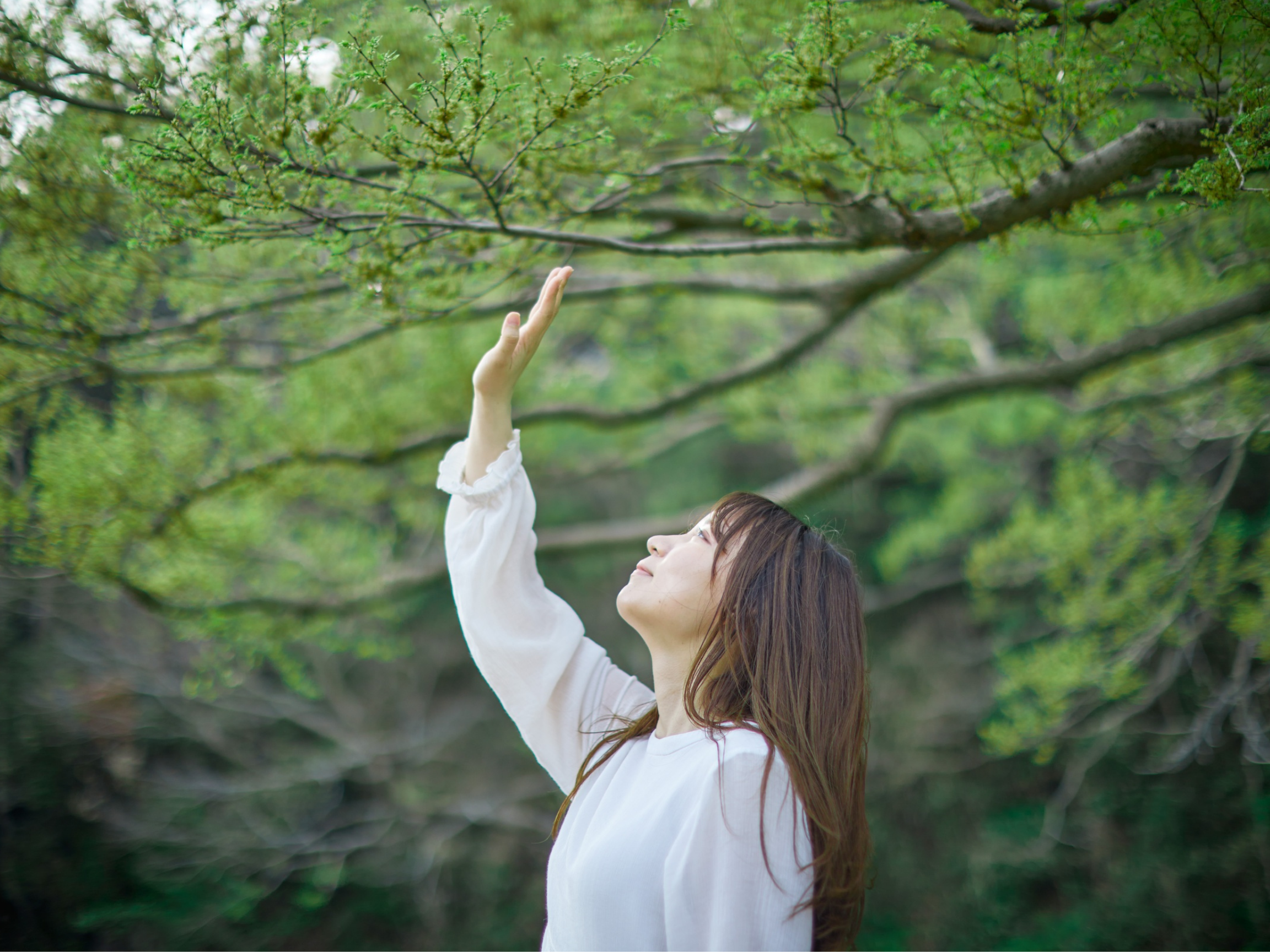 A woman with long brown hair reaching up towards green tree branches with small leaves, in an outdoor setting.