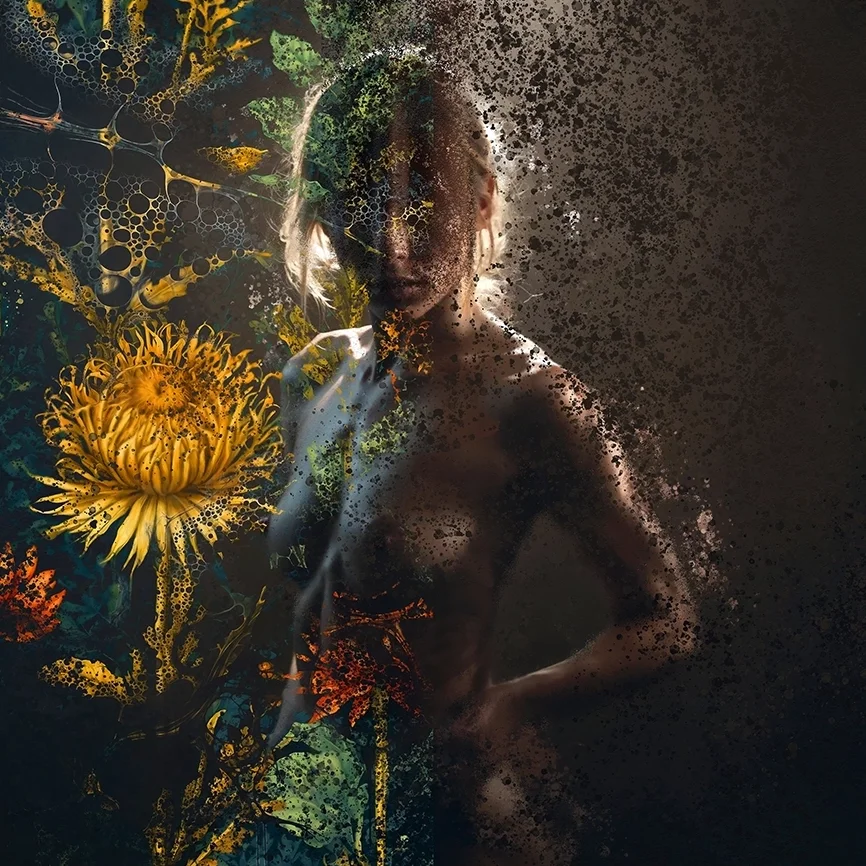 secret_garden.webp