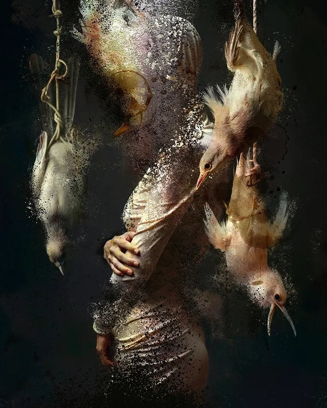 Hanging Birds