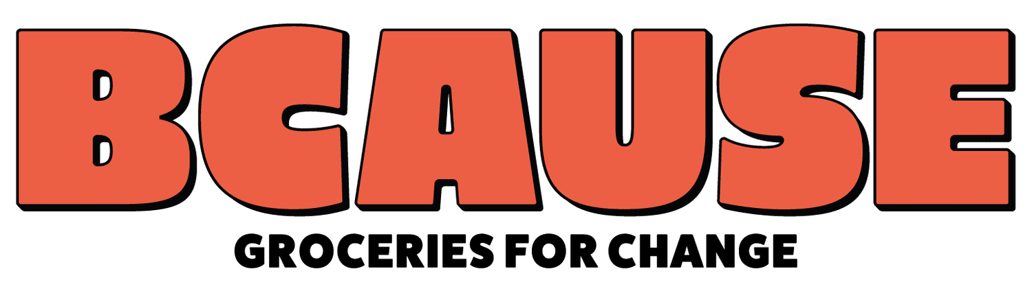 The BCause Foundation