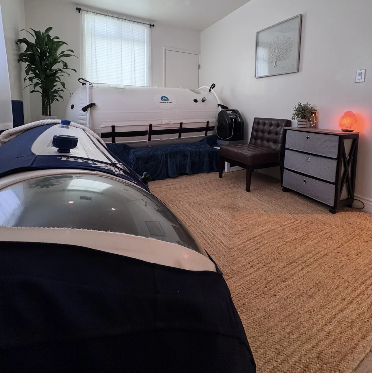Room with 2 hyperbaric oxygen chambers, a potted plant, and medical equipment, indicating a sensory or relaxation space.