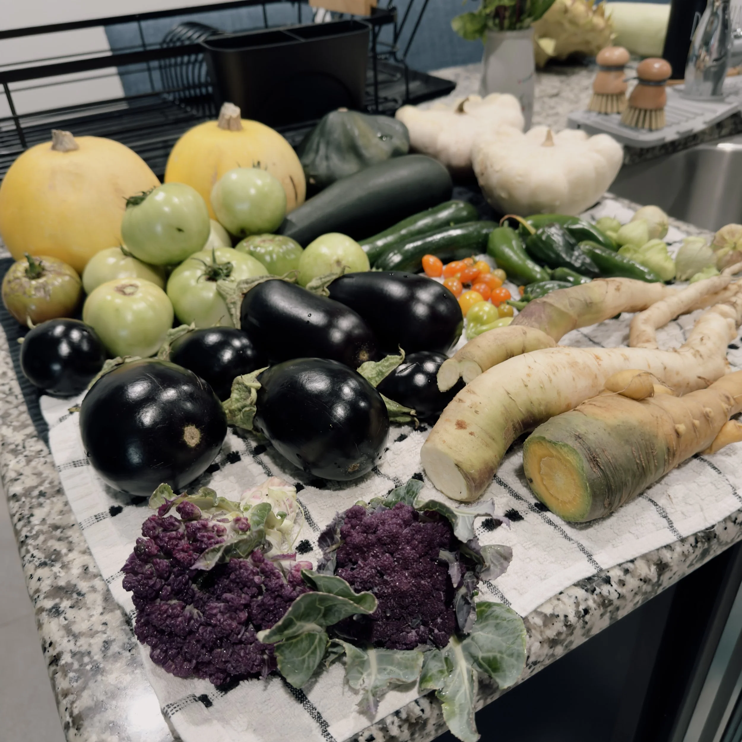Fresh veetables spread out on counter top