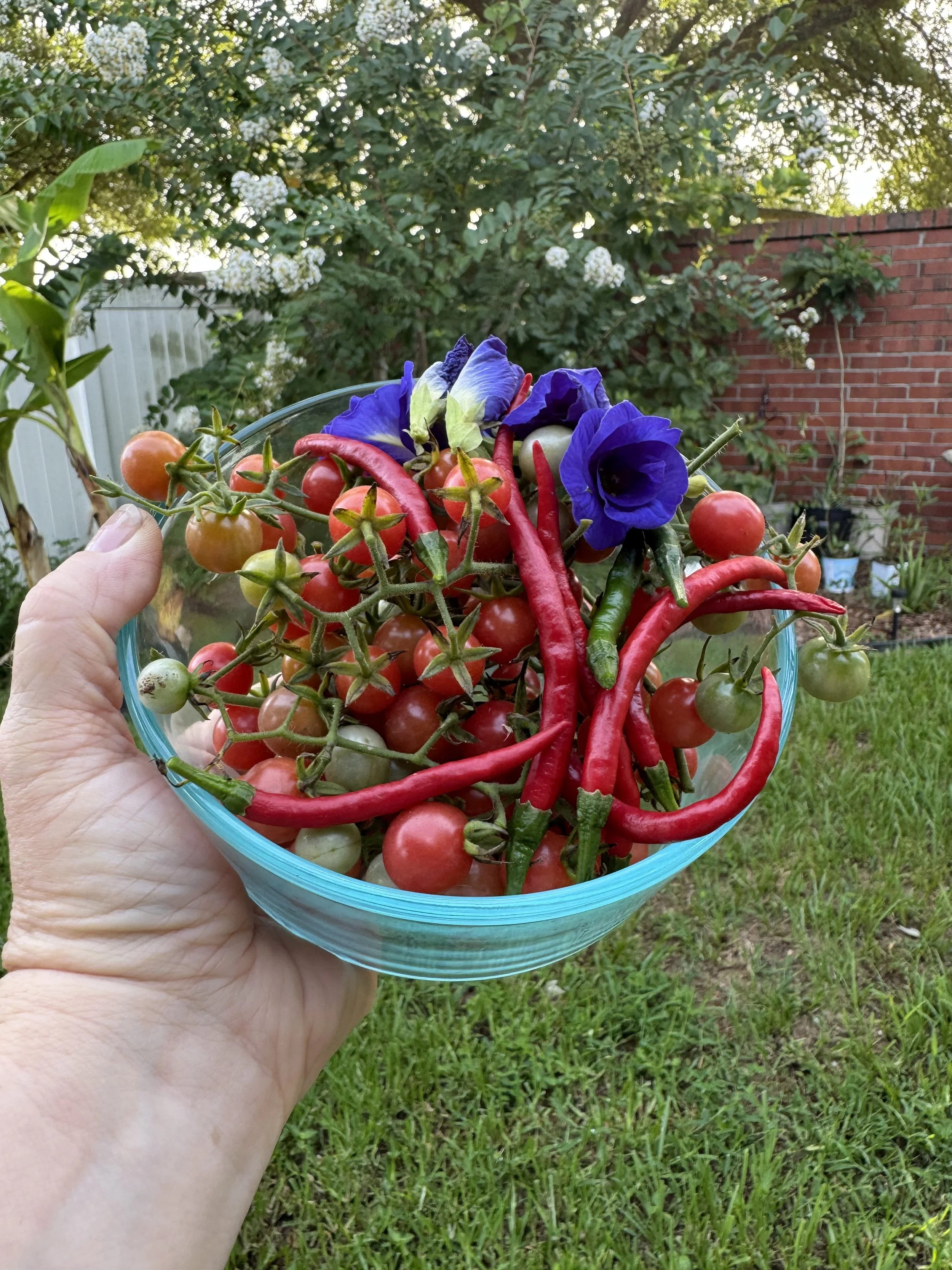 Small basket filled with tomatoes, peppers, and more
