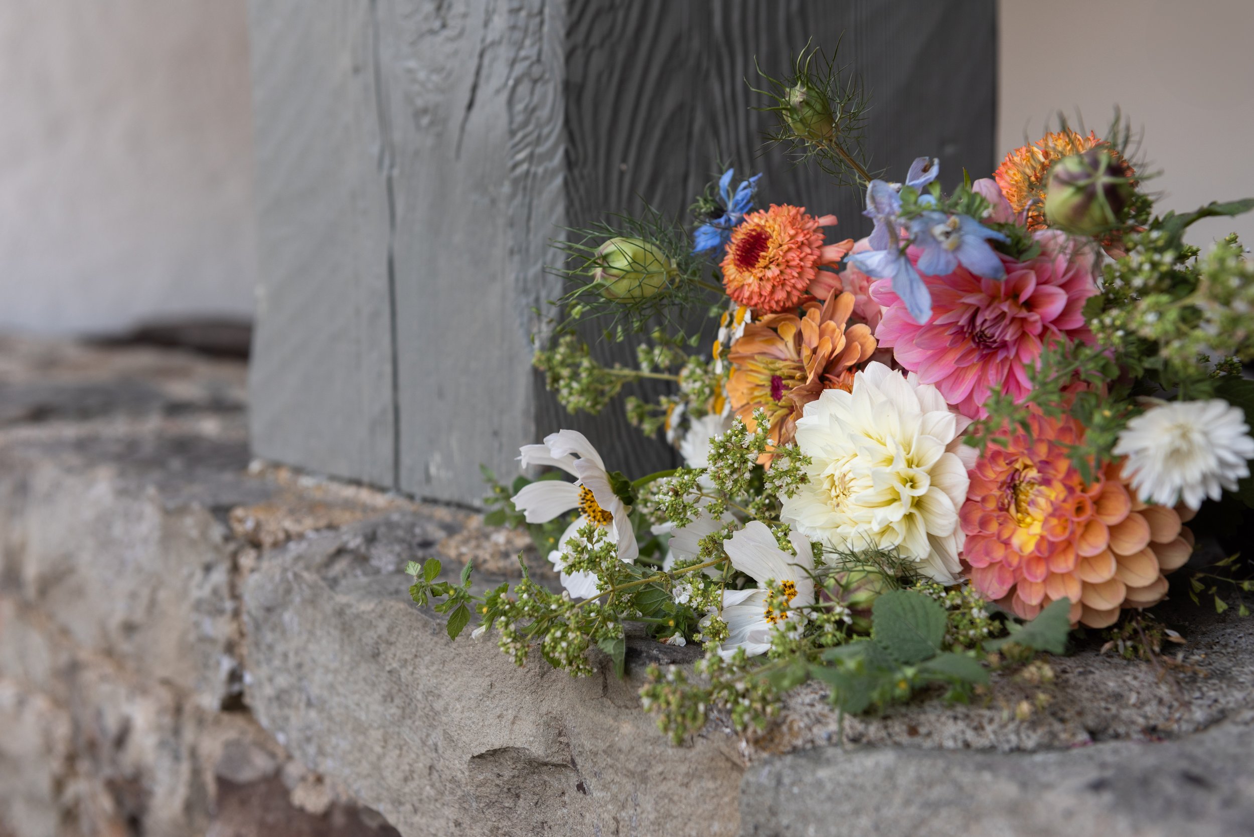 SHunter_SaltSpringPhotographerFlowers.jpg