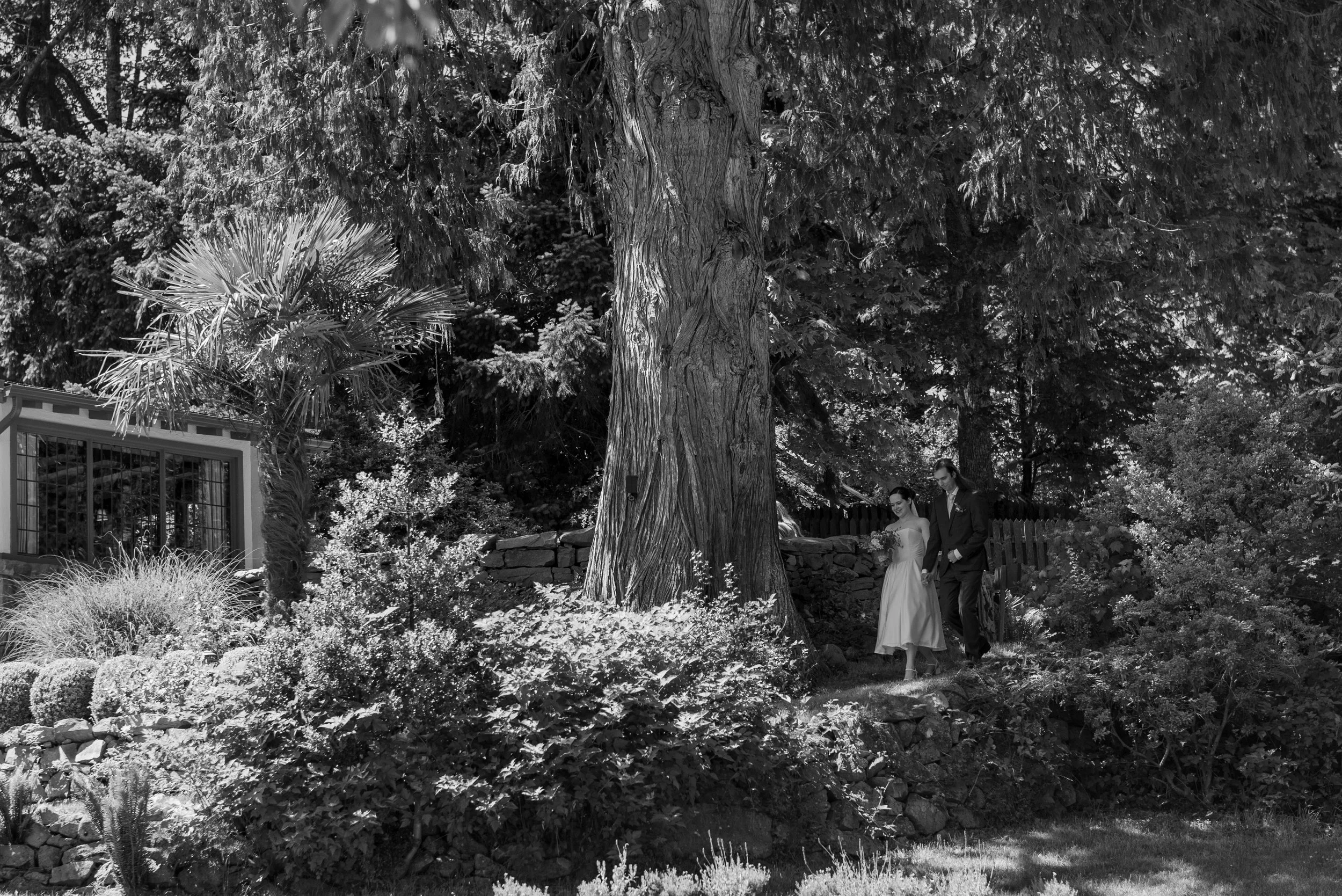 Emily and Yohann walking together during their Hastings House wedding on Salt Spring Island
