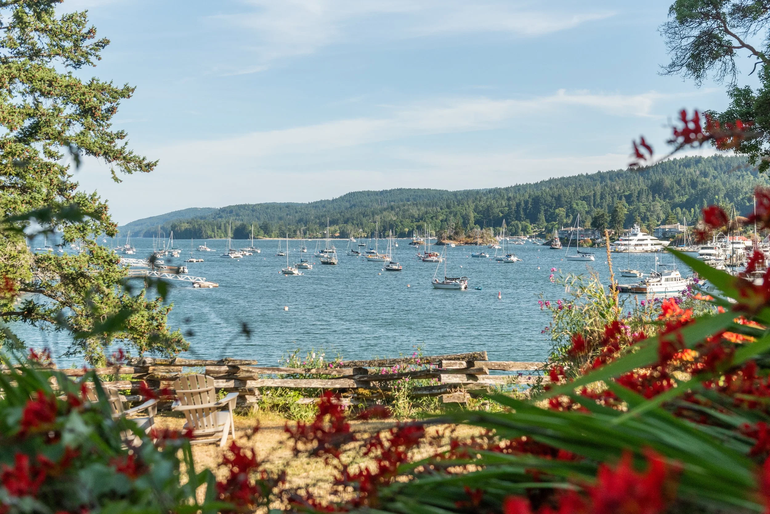 SHunter_SaltSpringPhotographer_31.jpg