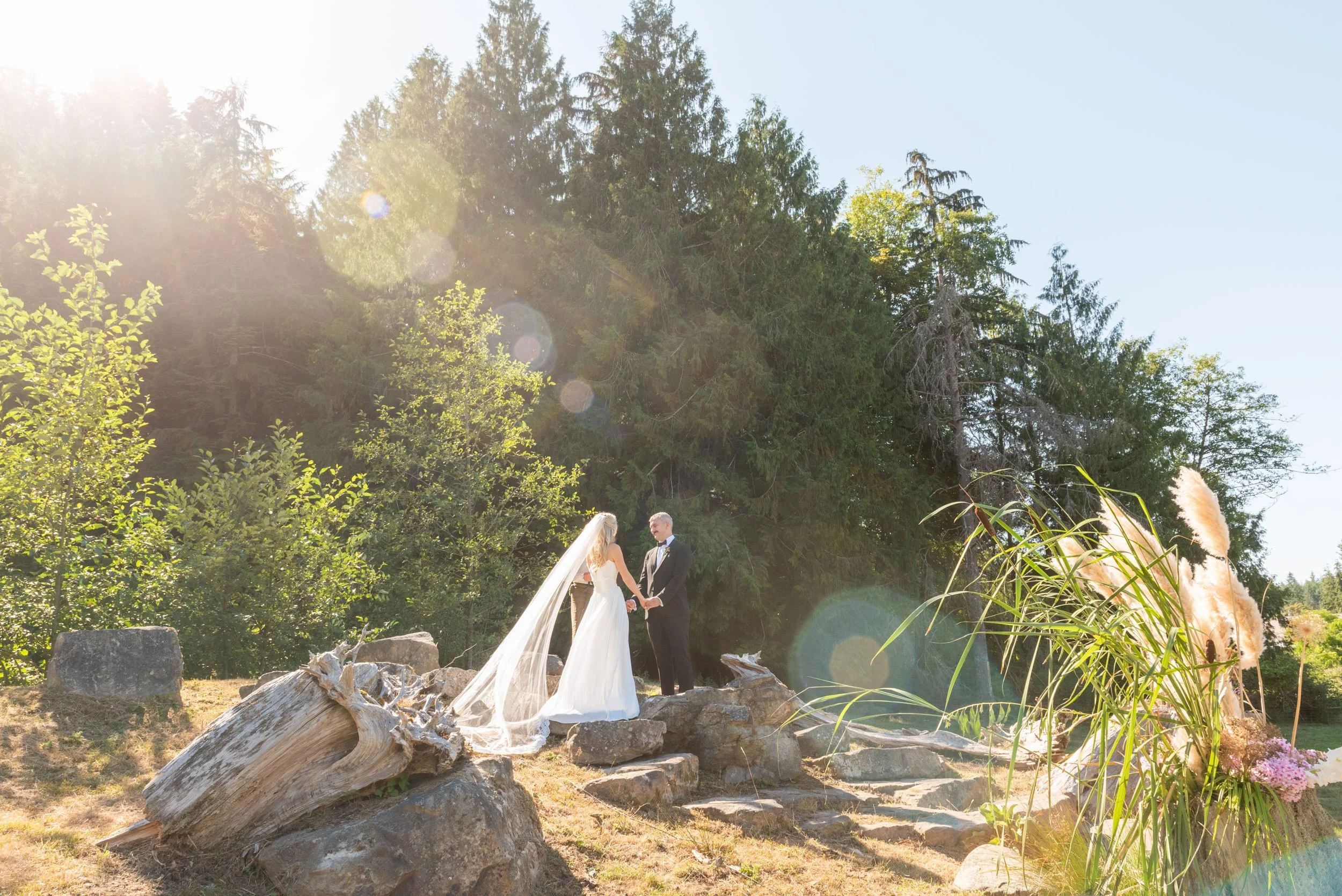 A bride and groom holding hands outdoors amidst greenery, with large trees and a bright sunflare in the background.