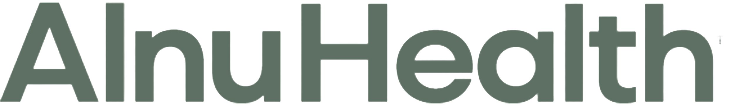 Large gray text spelling 'AldiHealth' on a white background.