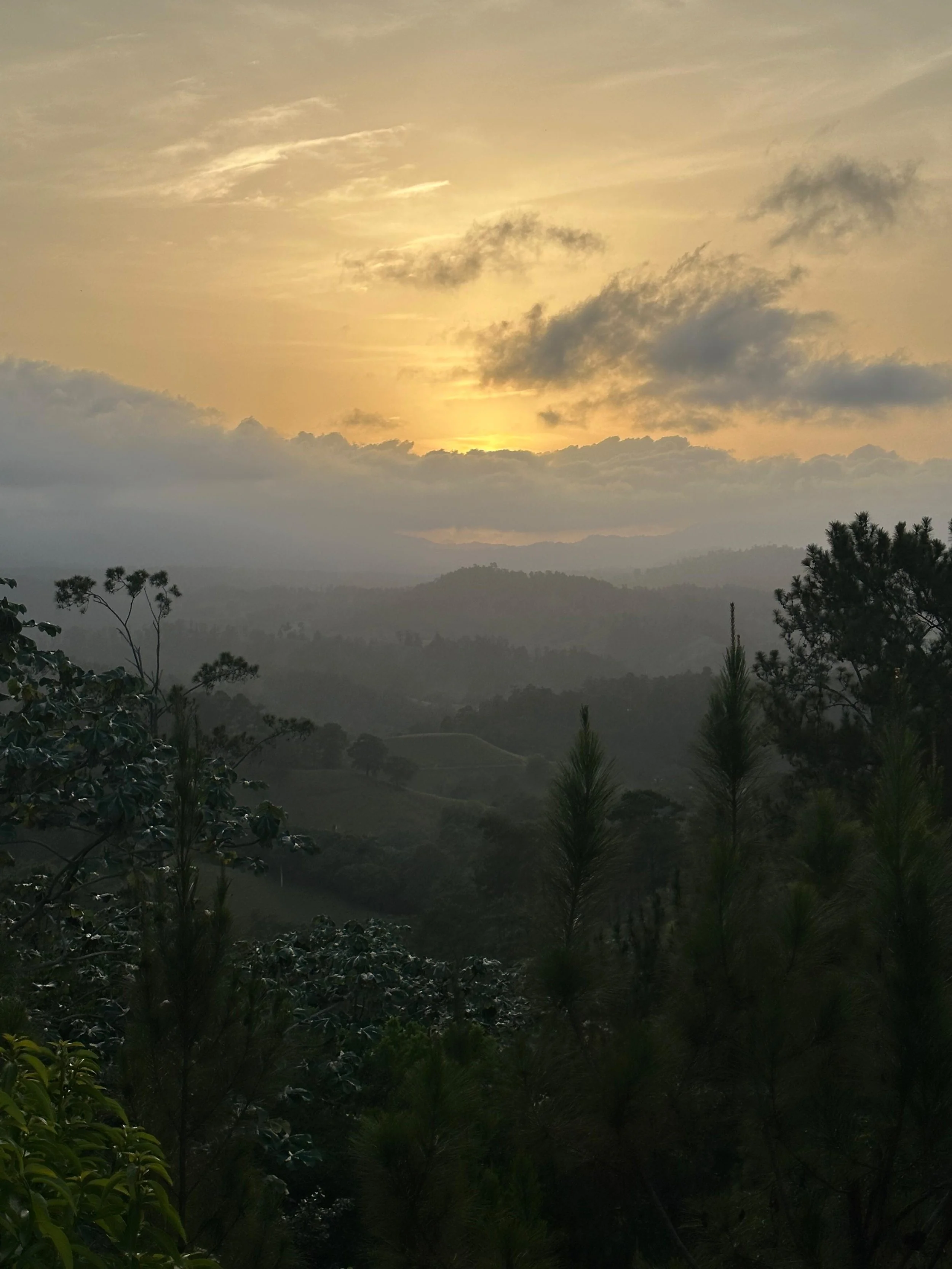 A landscape view of rolling hills and mountains under a cloudy sky at sunset, with silhouettes of trees in the foreground.