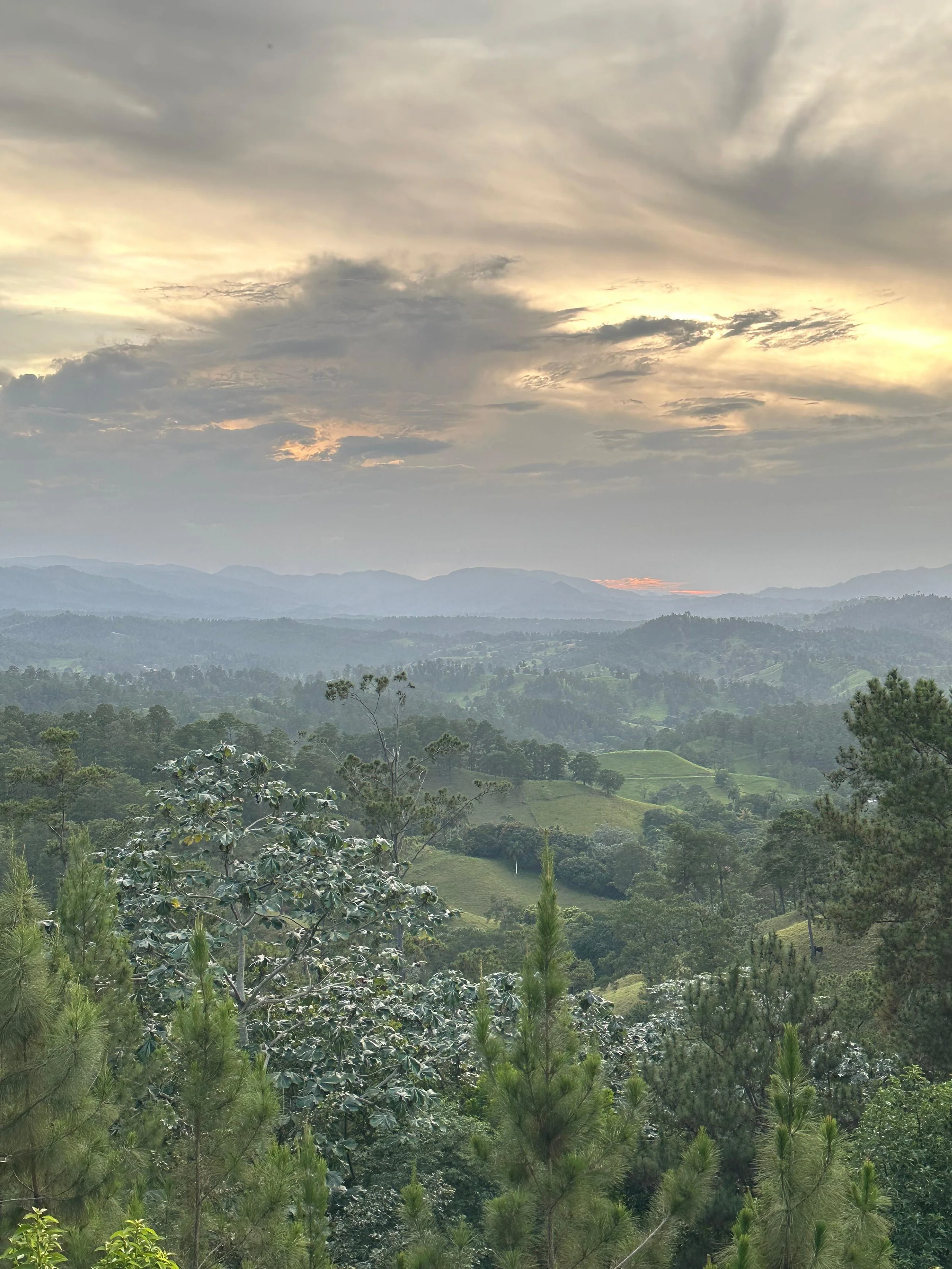 View of rolling hills and mountains under a cloudy sky during sunset, with lush green trees and vegetation in the foreground.