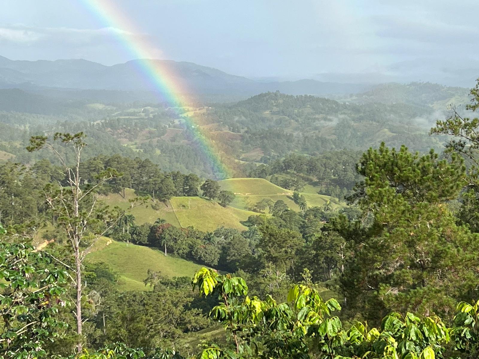Lush green rolling hills and forests under a cloudy sky with a rainbow spanning across the landscape.