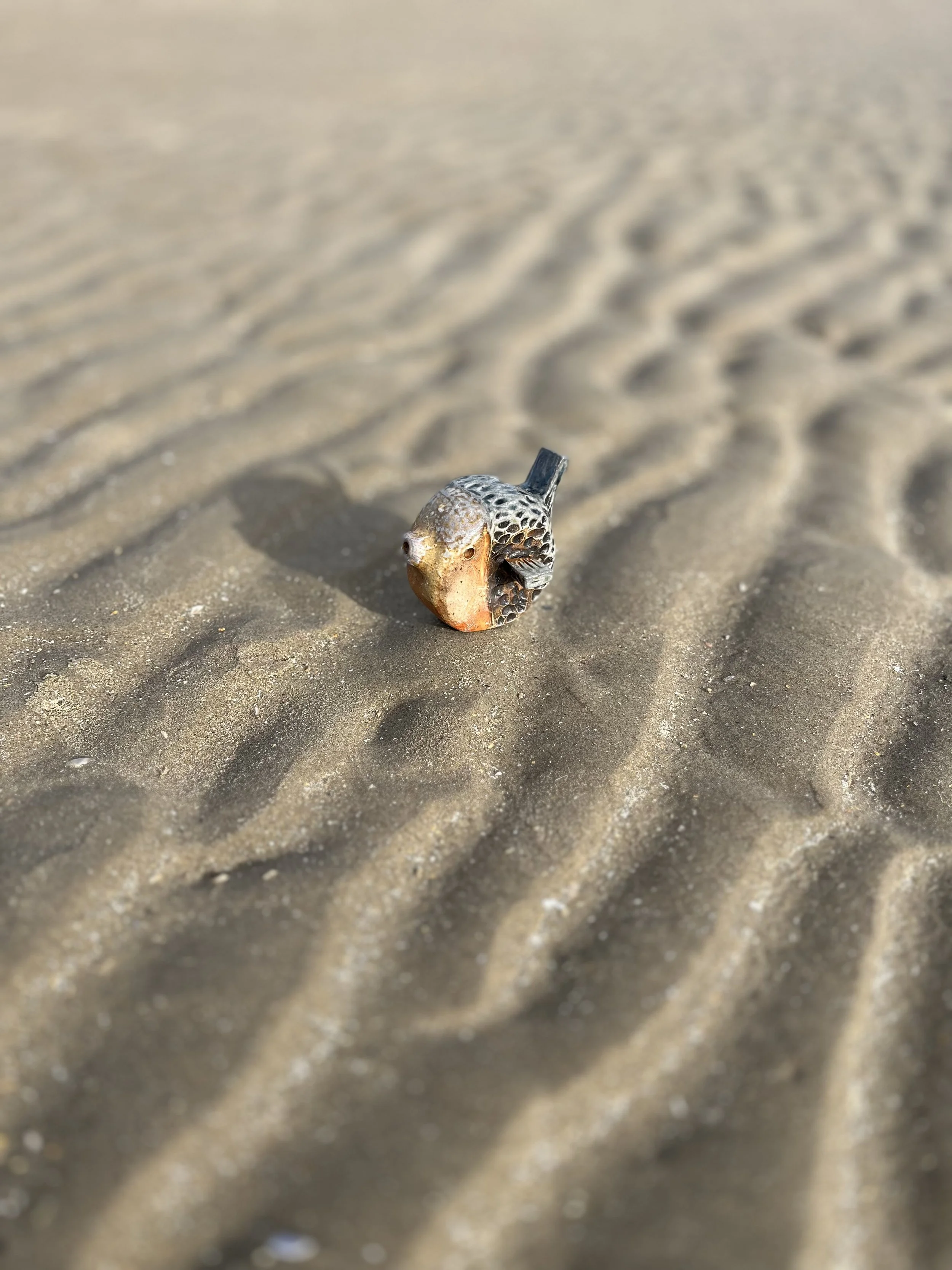 Fish Whistle