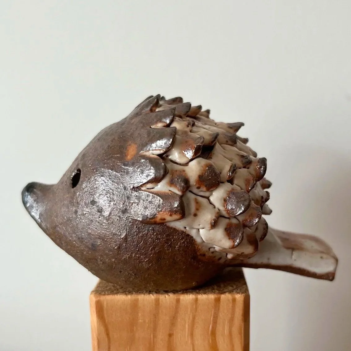 IMG_1380.jpg