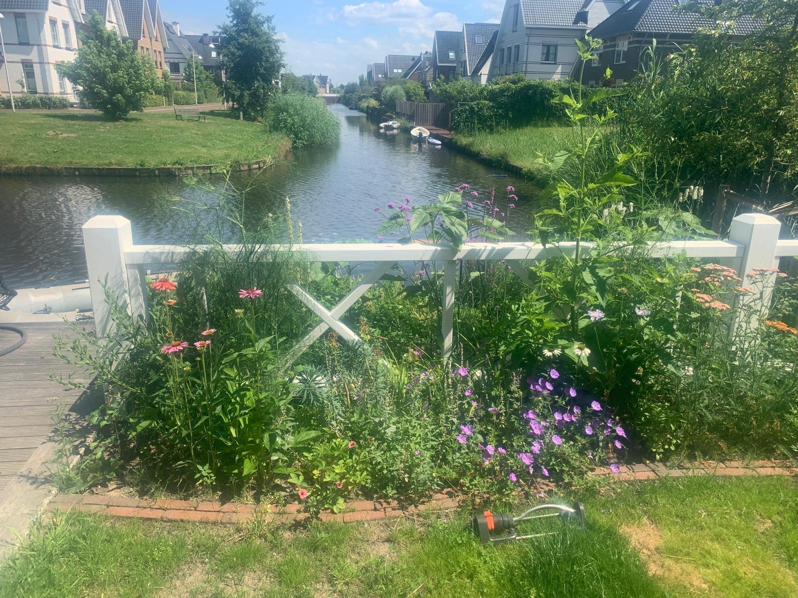 Hervorming tuin aan het water