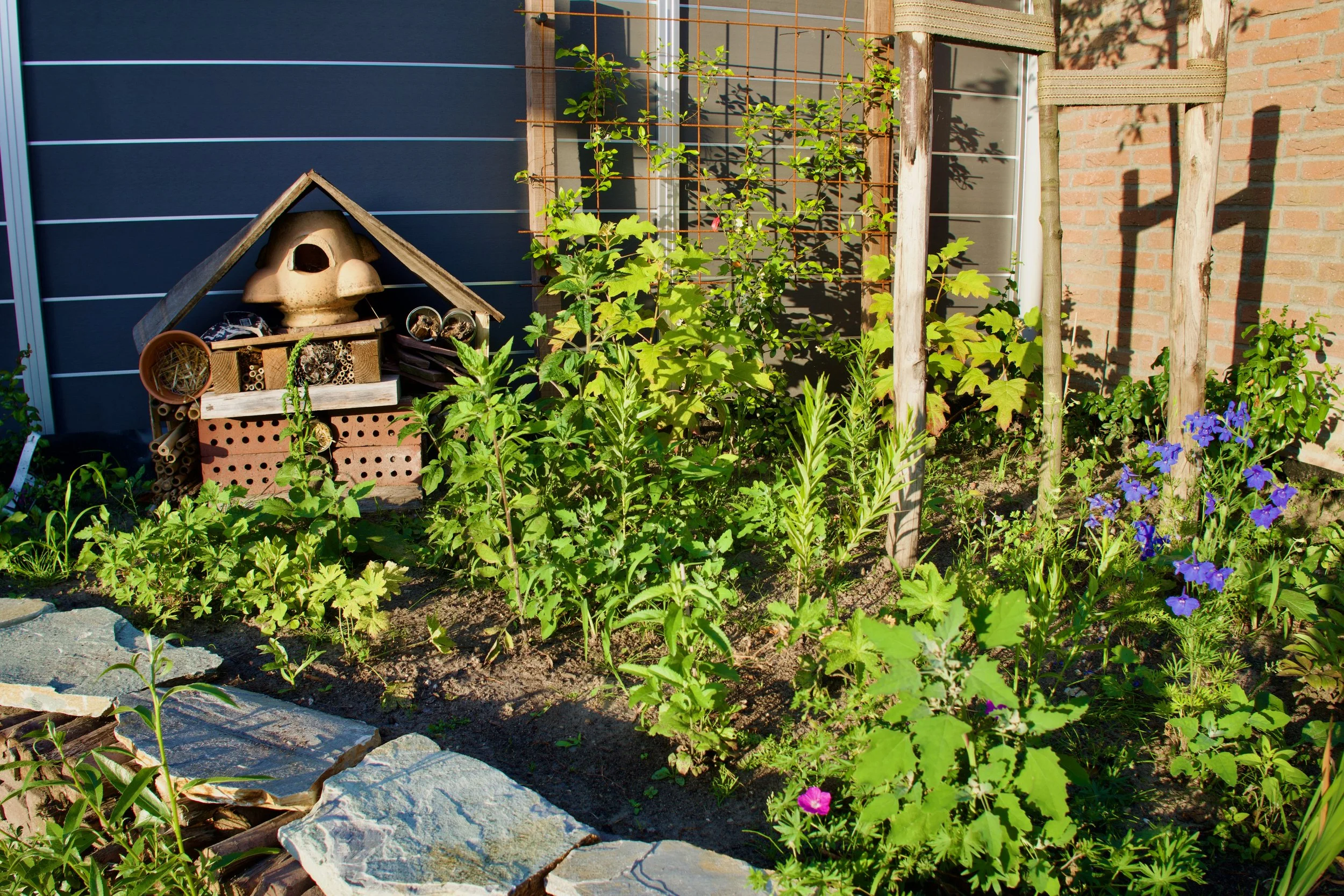 Verhoogde border voor meer diepte in je tuin en meteen weer fijn voor diverse amfibieën. Insectenhotel met Japanse uitstraling. 