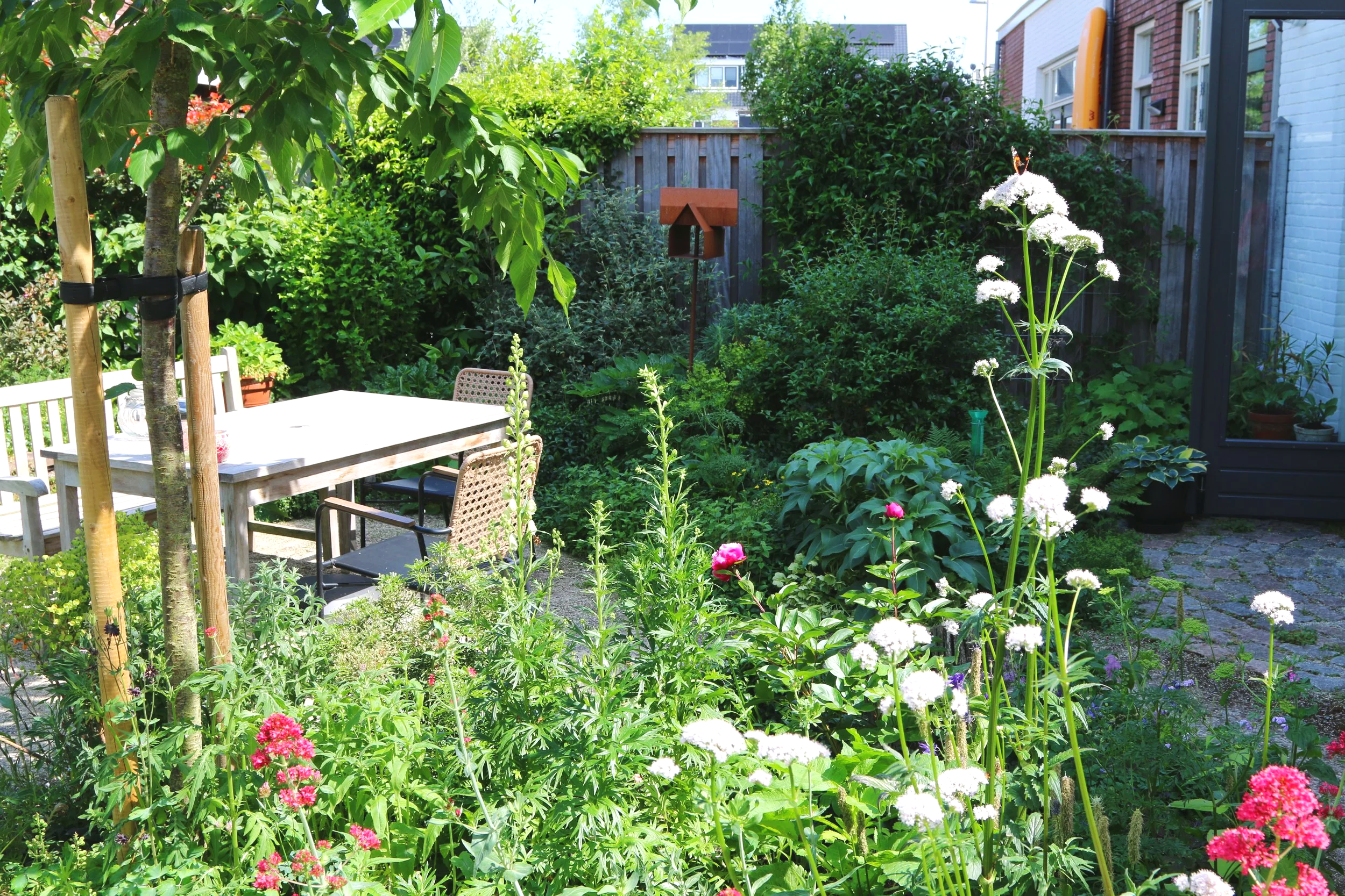 Niks mis met een tuin op het Noorden. Veel wintergroen, maar ook nog steeds veel bloei mogelijk. 