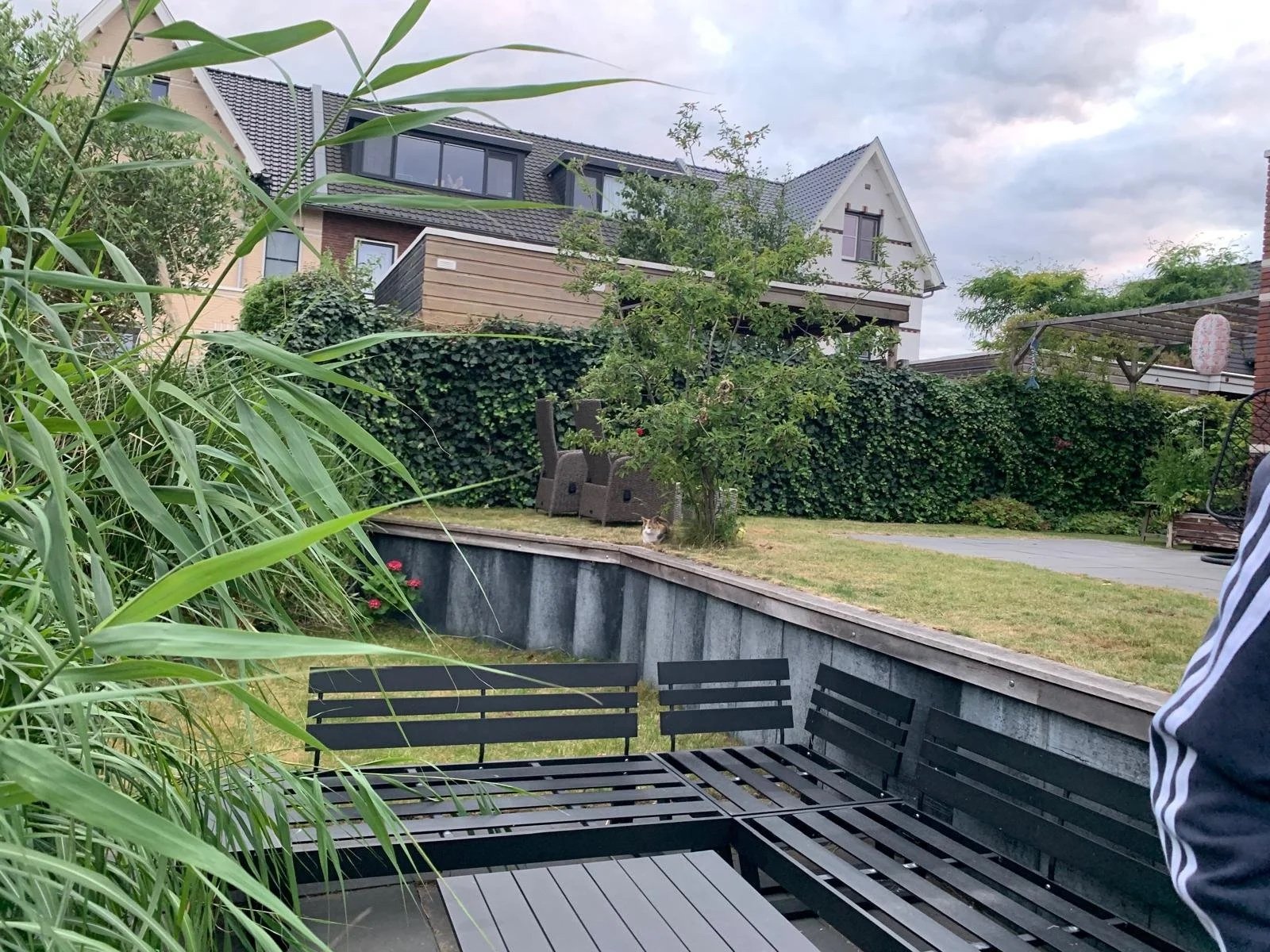 Situatie 2025: het onderste gazon is vervangen voor een bloemenweide mengsel met wadi. 