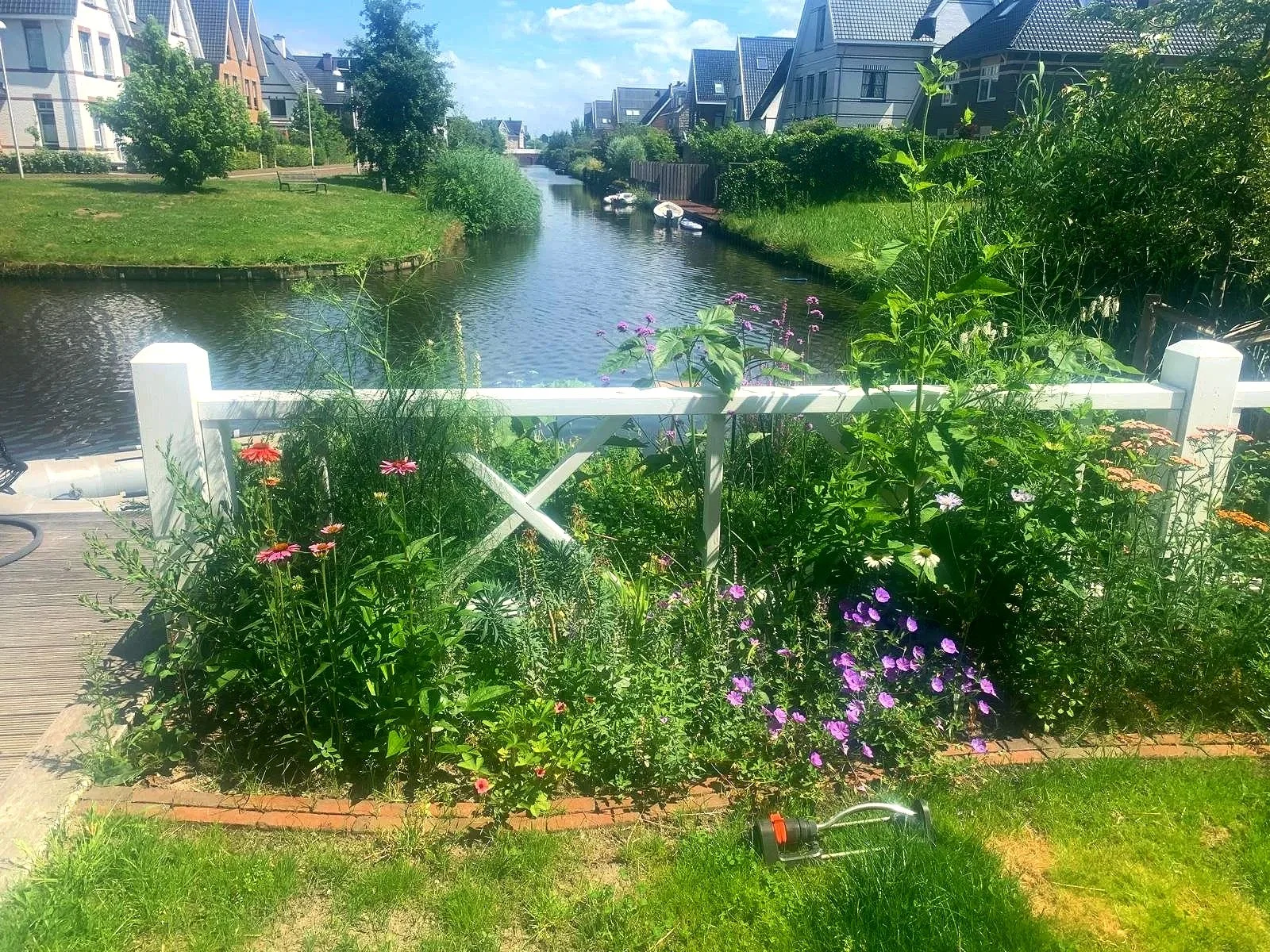De beplanting vormt nu een zachte overgang tussen terras, tuin en water. 