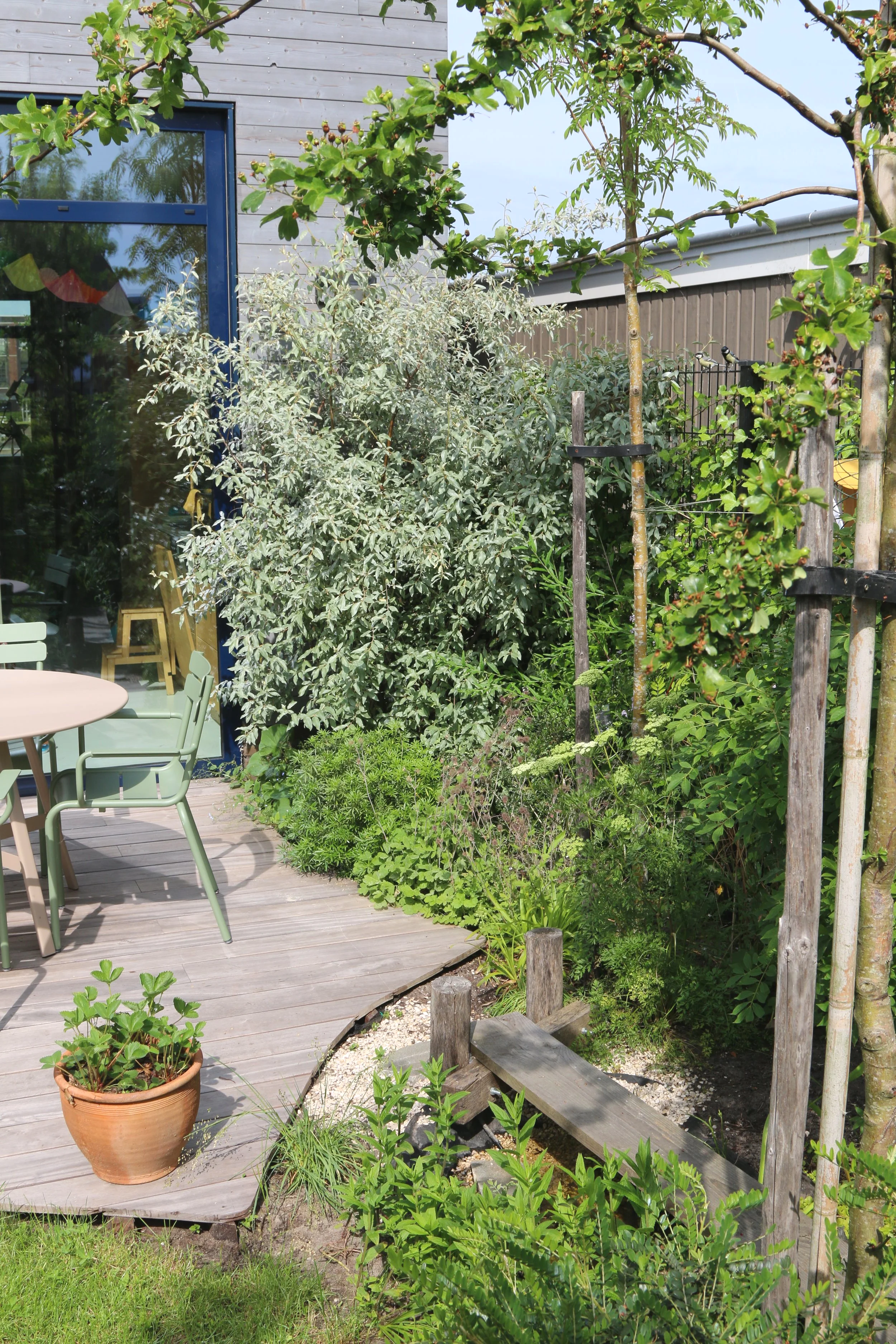 De bijzondere vorm van het vlonderterras geeft de tuin meer diepte. 
