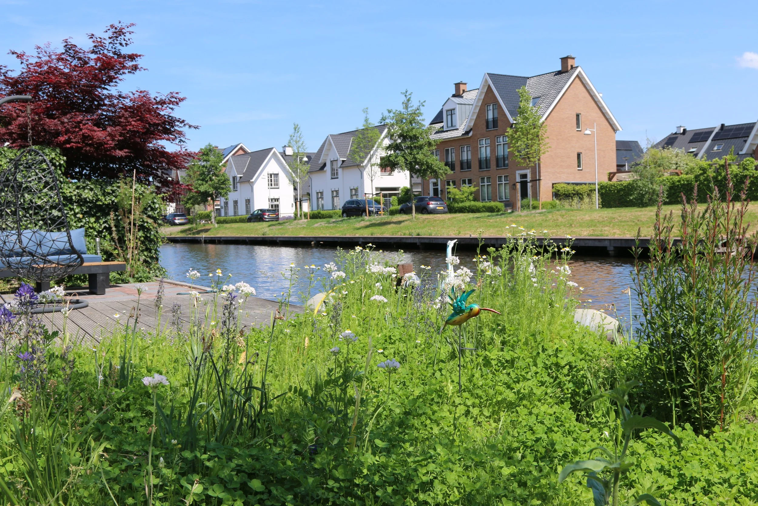 Van bollenfestijn naar timotheegras met een bereidingsmengsel voor veen/zandgrond. Bij de wadi kattenstaart. 