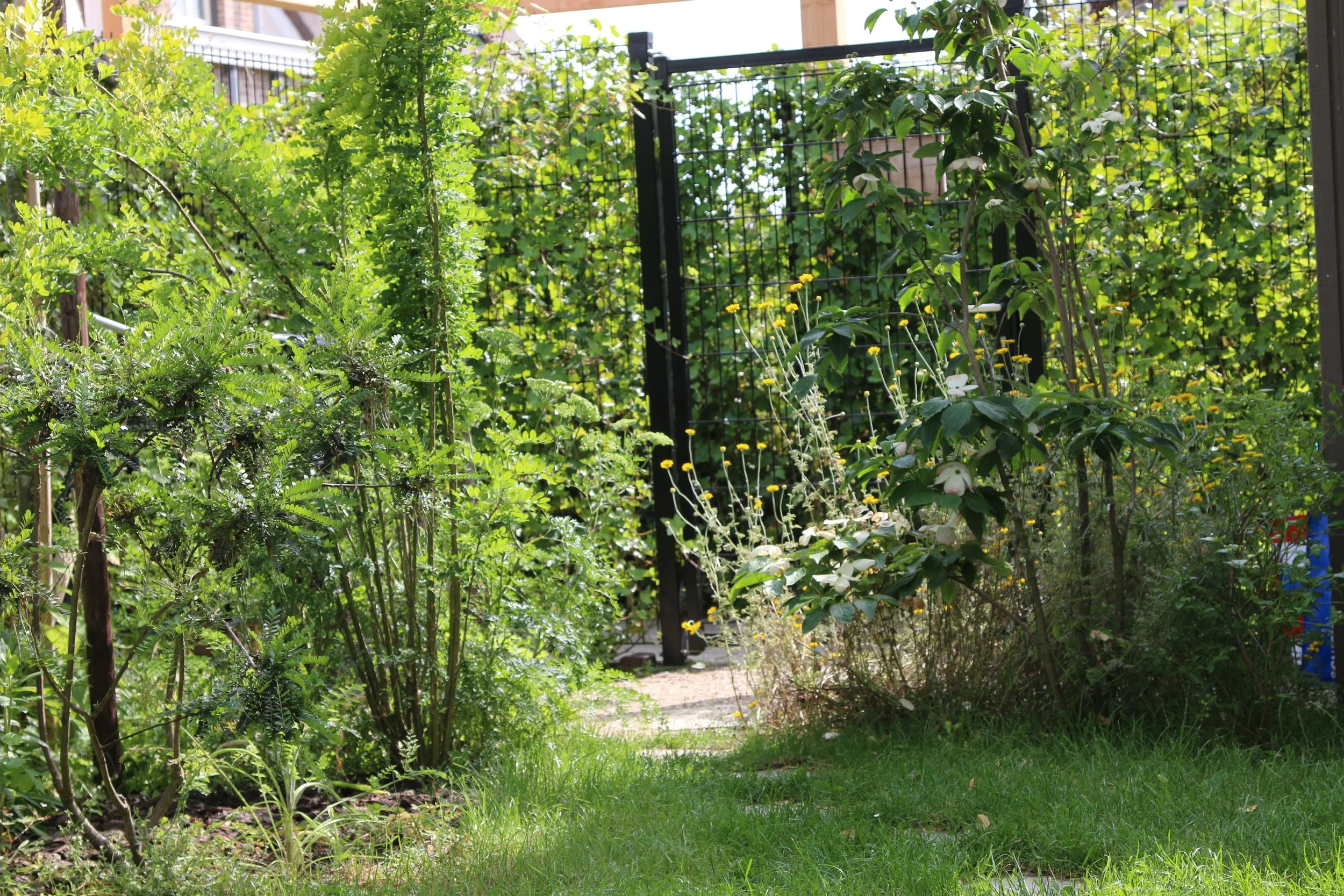 Sfeerimpressie hoe een groene geborgenheid kan worden gecreëerd. 