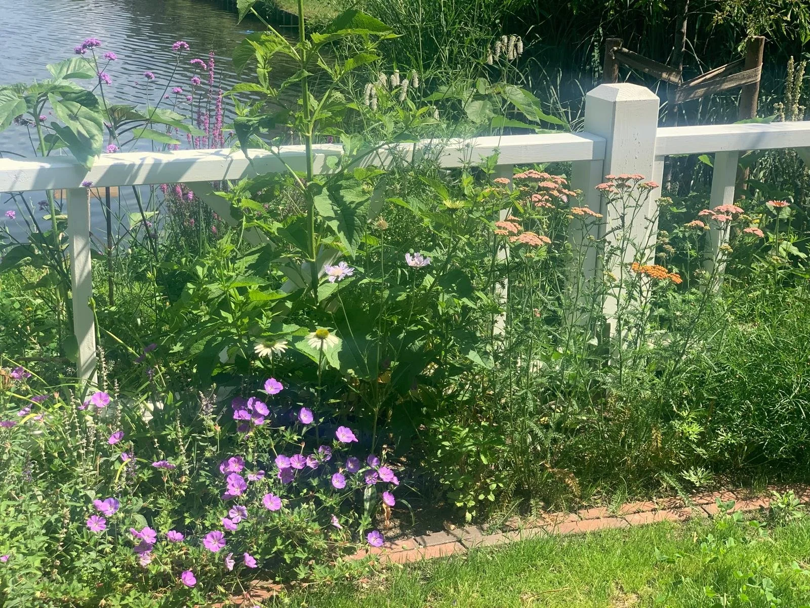 Door de aanpassingen oogt de tuin veel natuurlijker en meer verweven met de omgeving.