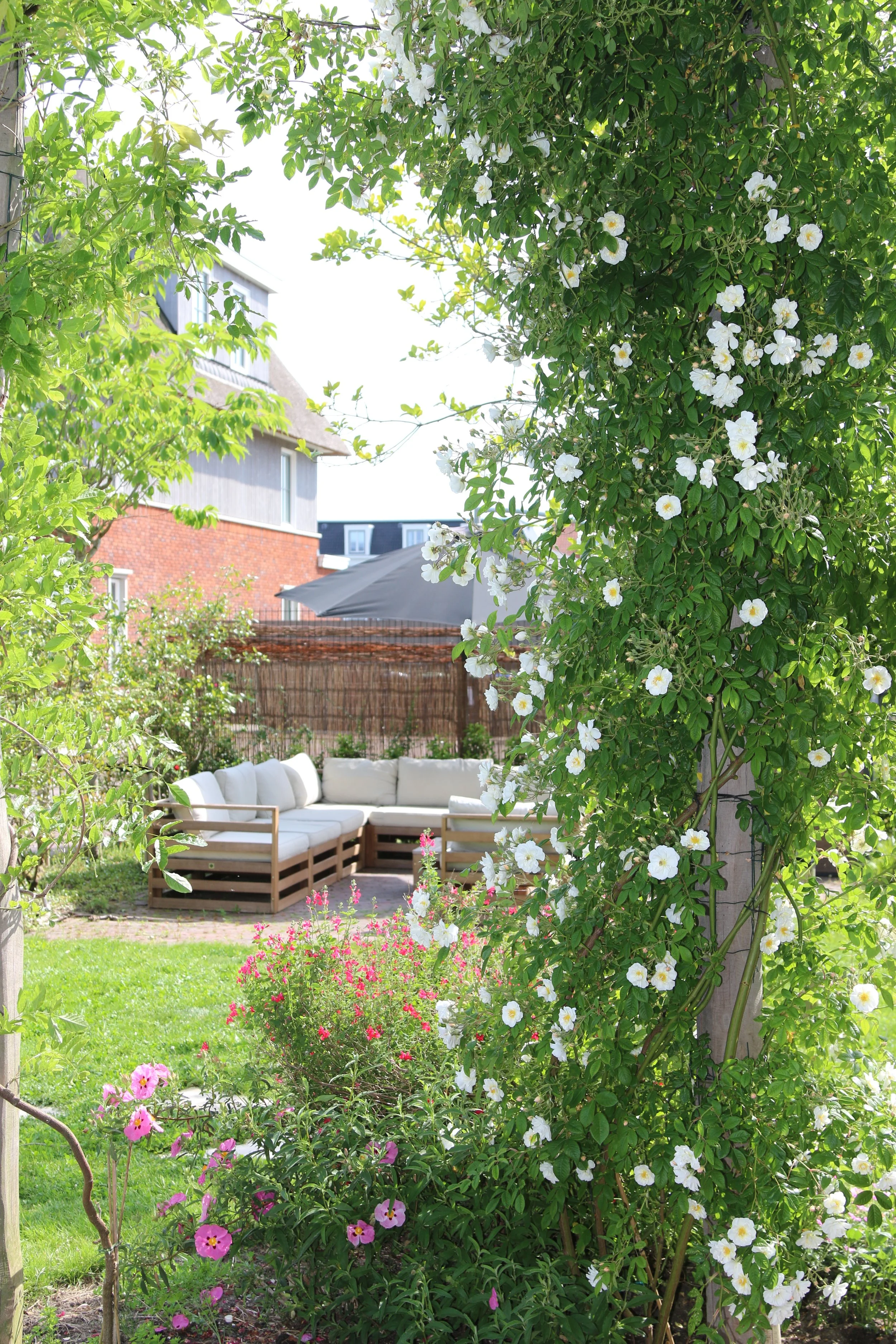 Loungen