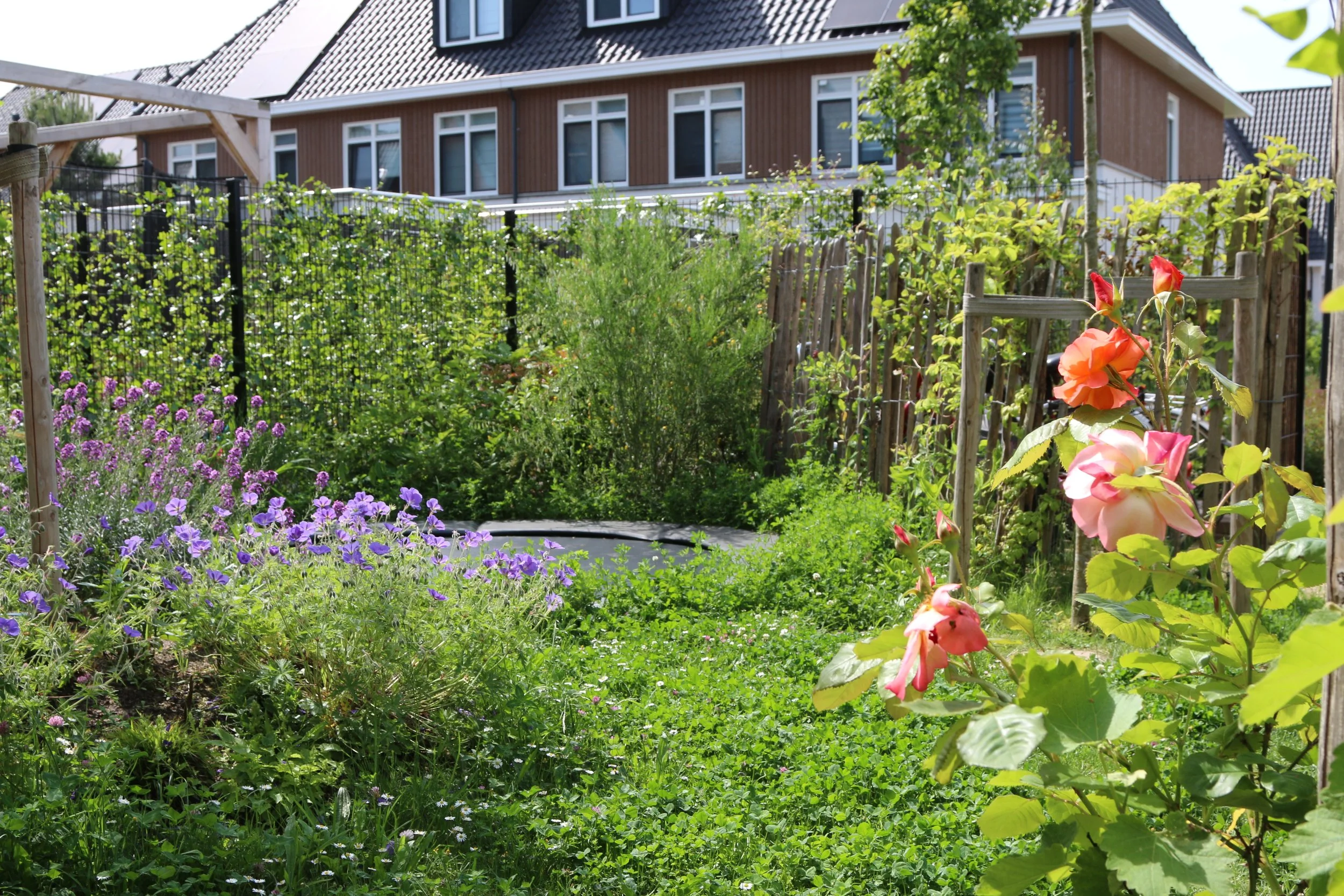Trampoline weggewerkt achter een verhoogde border.. win win situatie vanuit aanblik van je huis/terras.