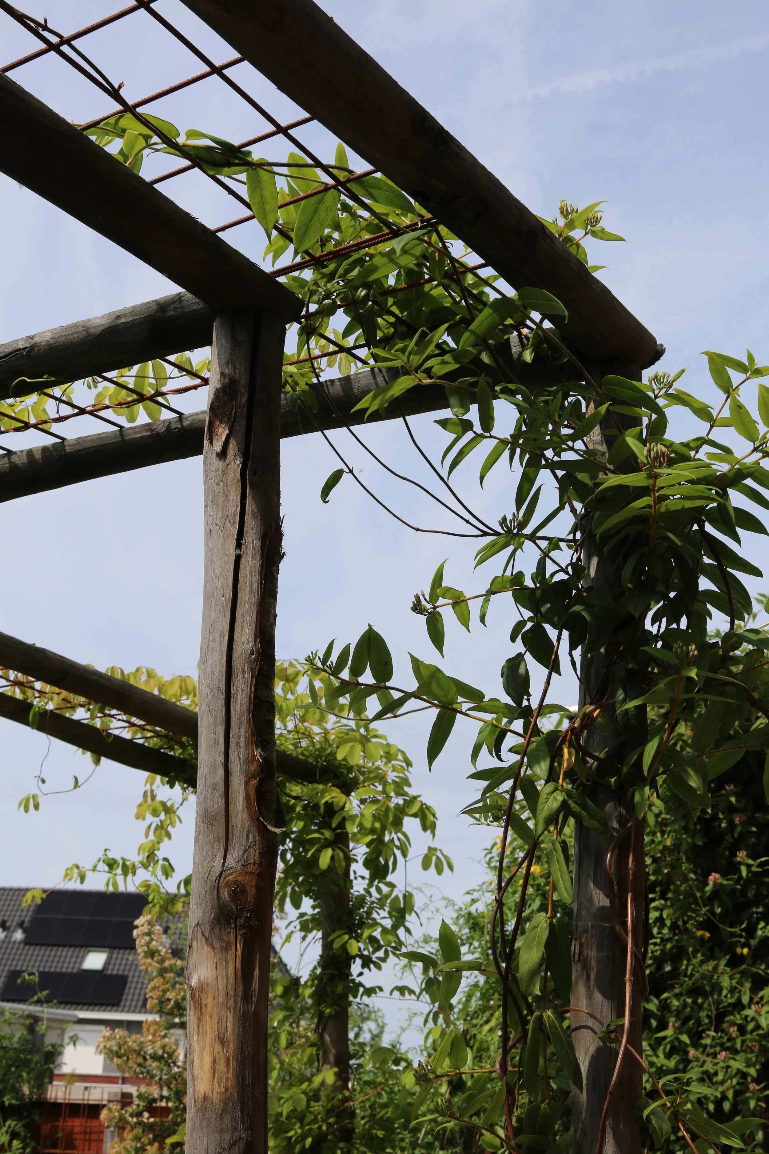 Pergola gemaakt van kastanjepalen en verroest betongaas.