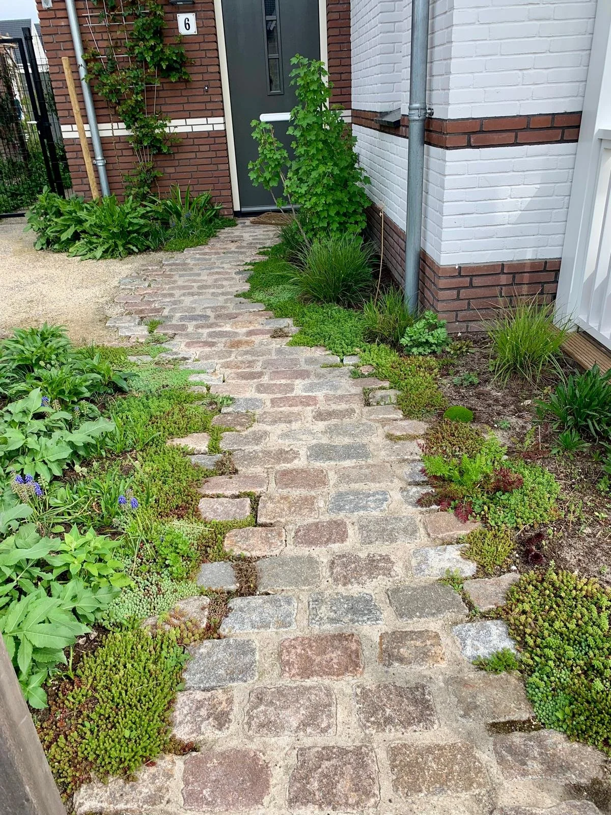 Speels tuinpad geeft meteen andere sfeer