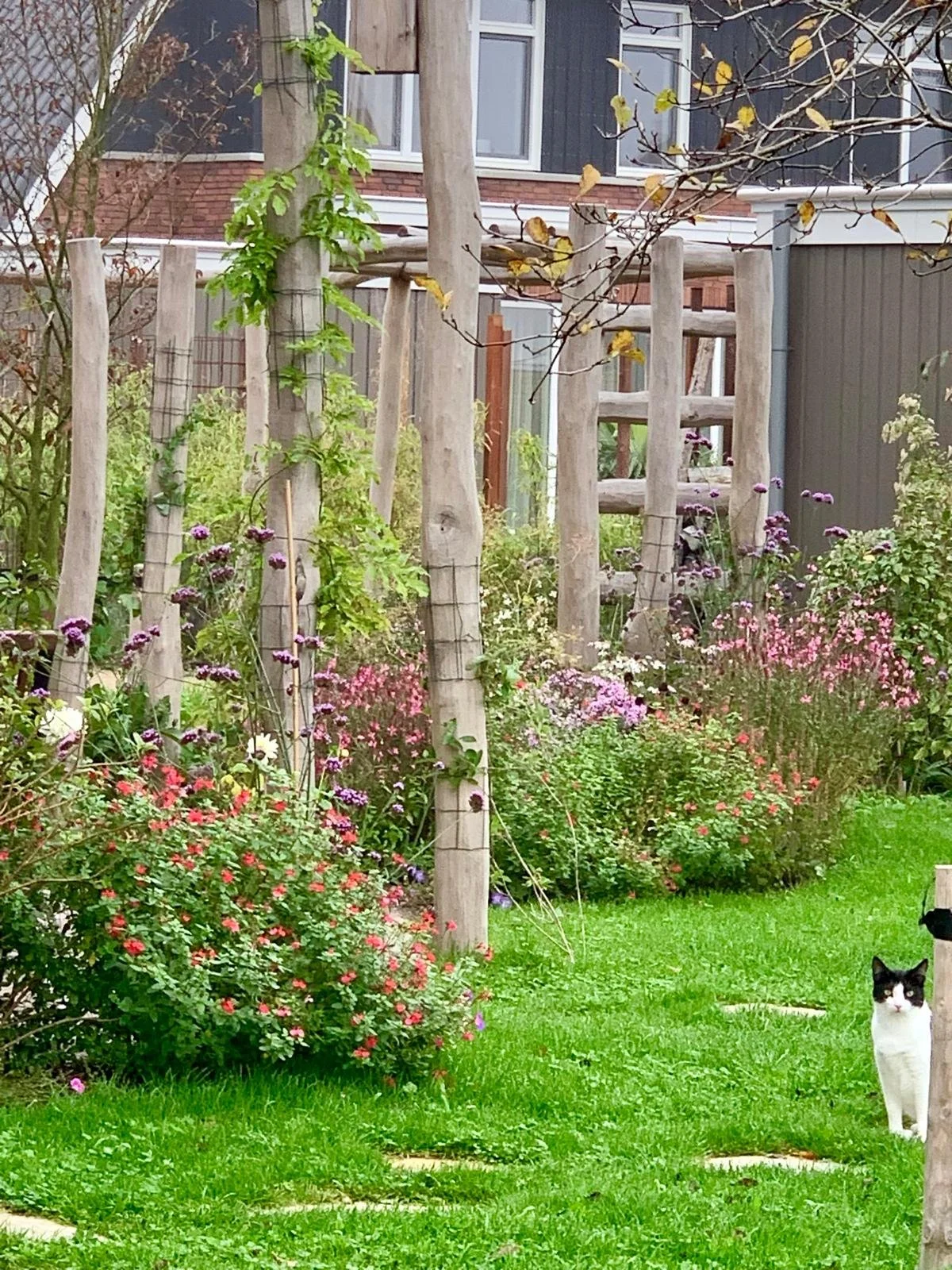 Geschilde Robinia palen met groen als erfscheiding.