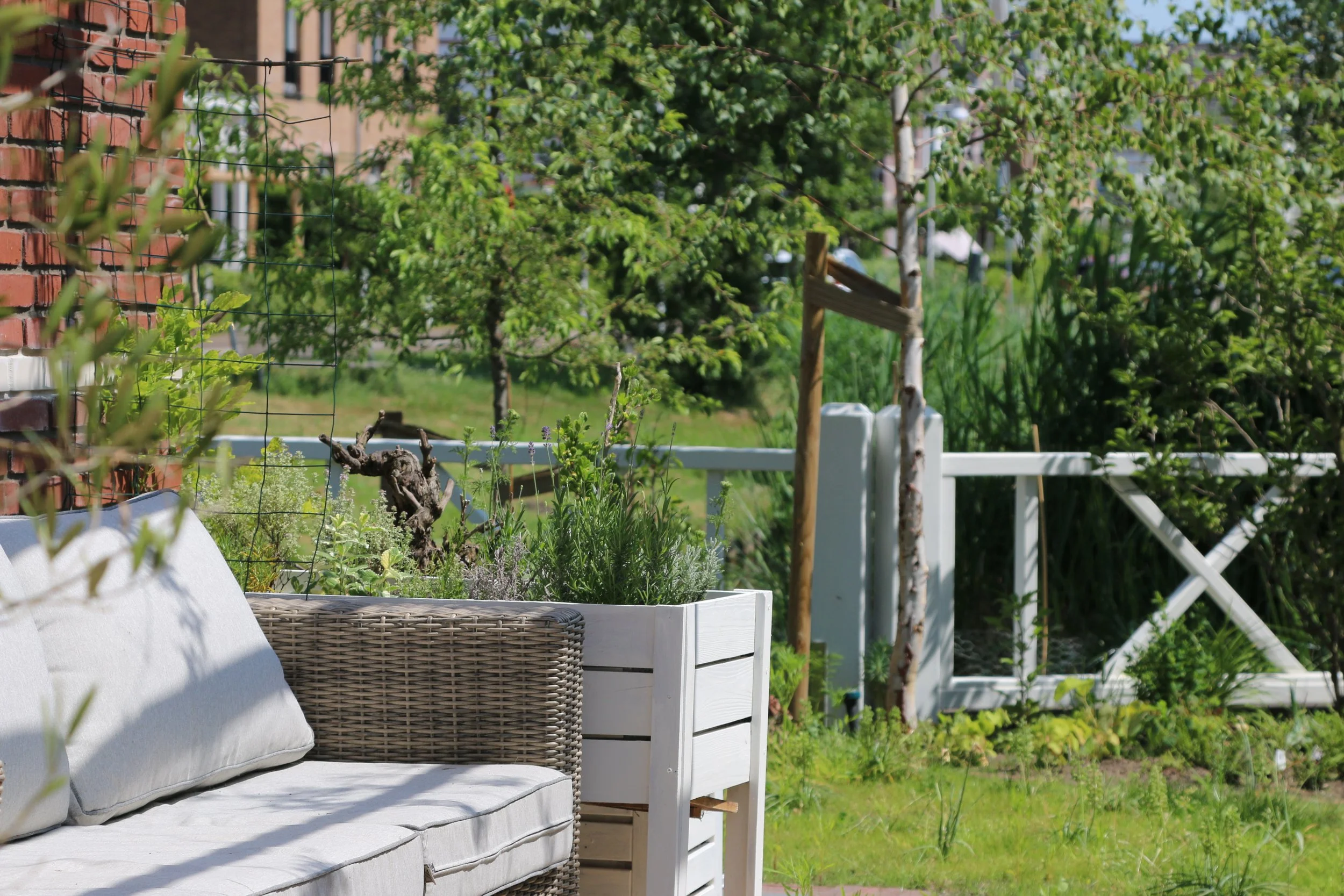 In de witte plantenbak staan veel heerlijk geurende keukenkruiden. 