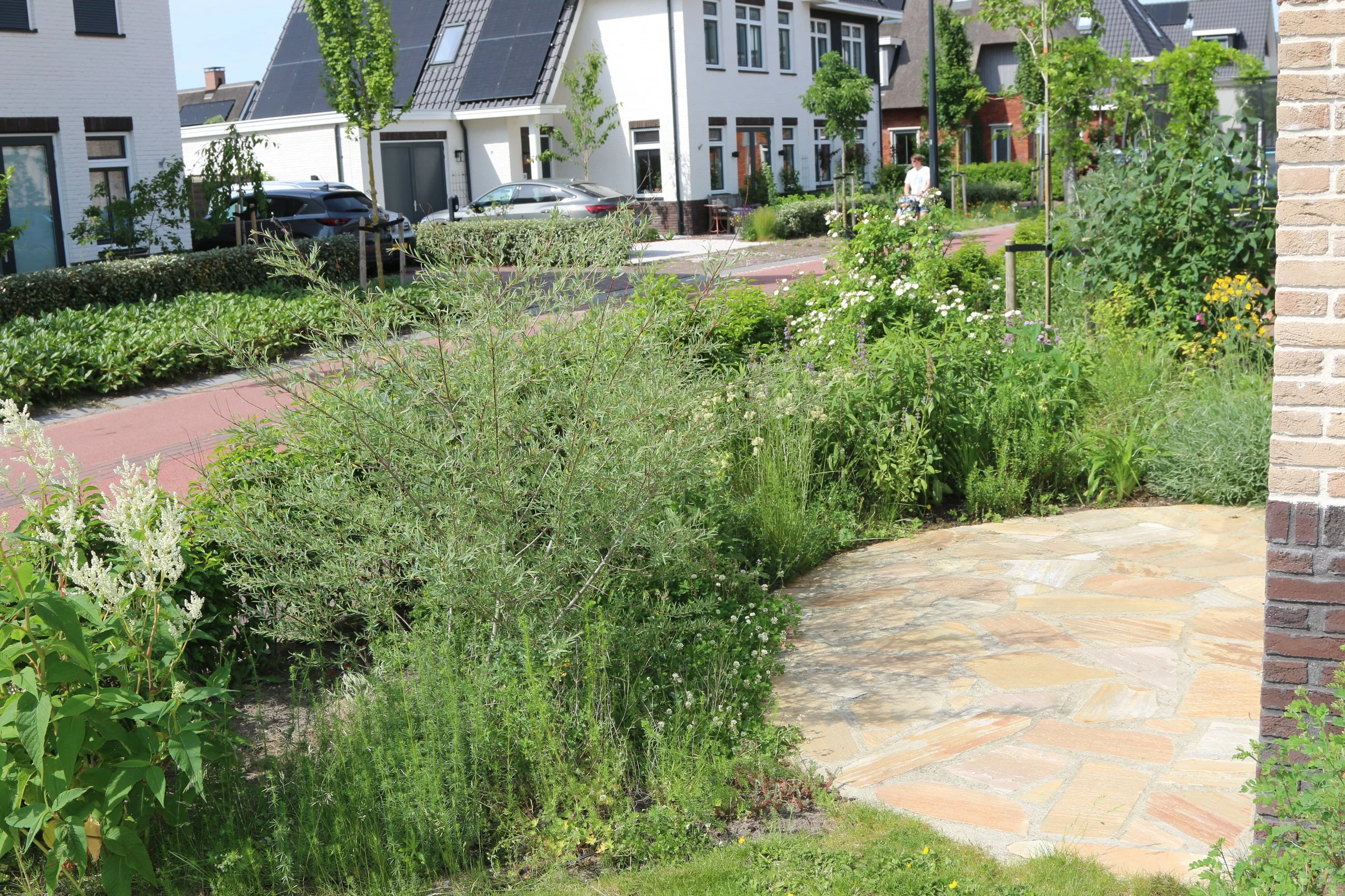 Voortuin